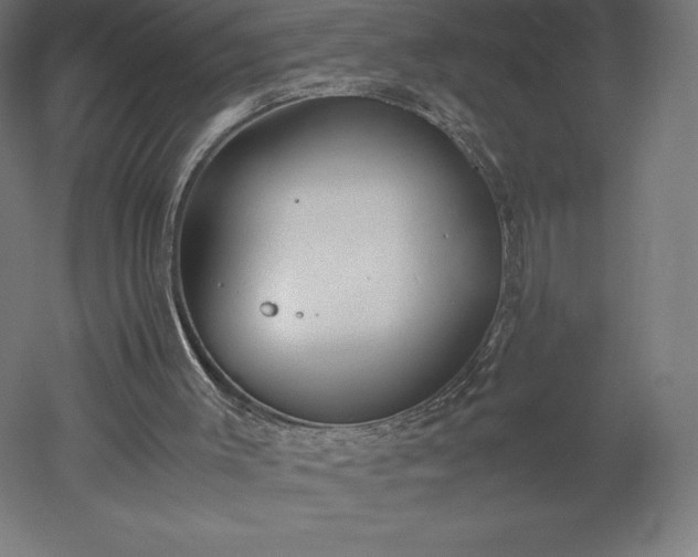 X0000051910003200507011546