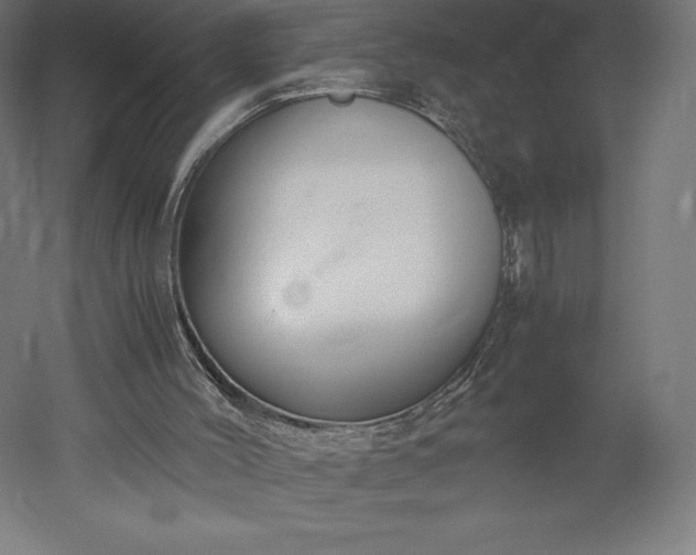 X0000051910004200507011546