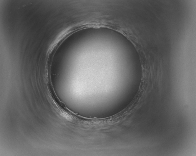 X0000051910005200507011546