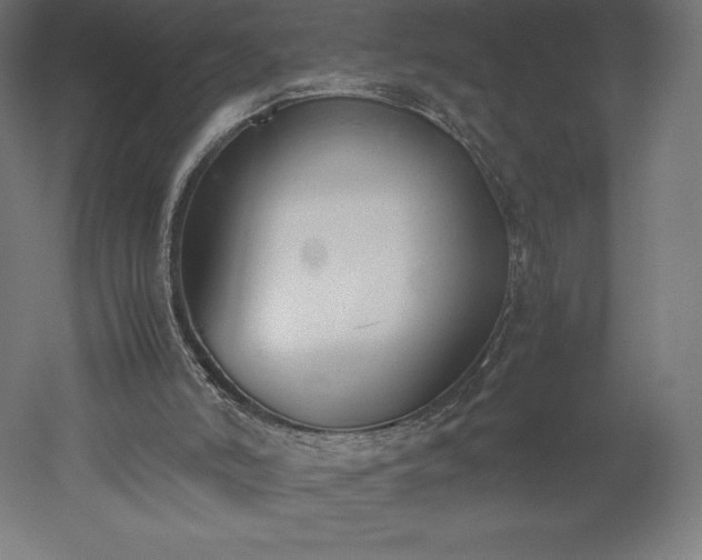 X0000051910006200507011546