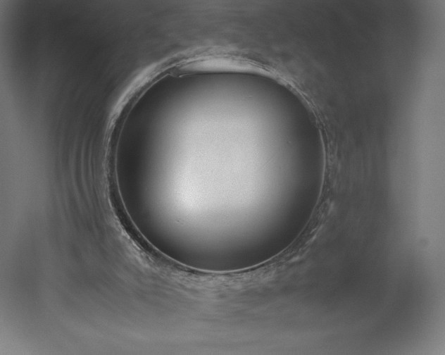 X0000051910007200507011545