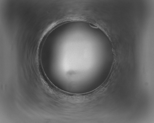 X0000051910008200507011545