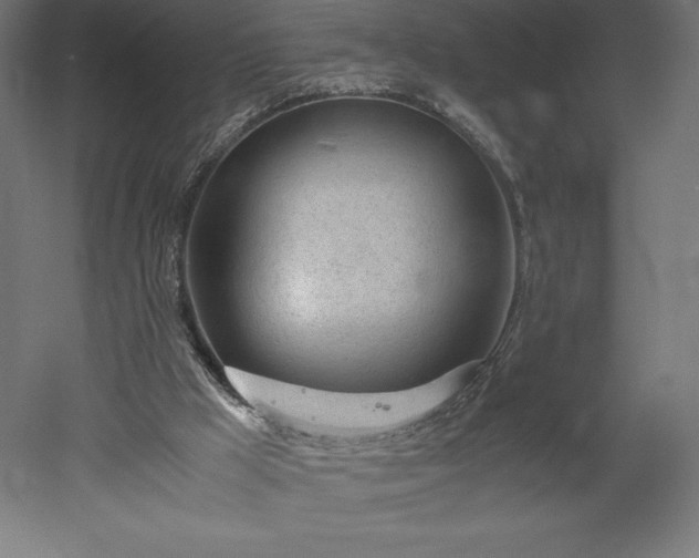 X0000051910009200507011545