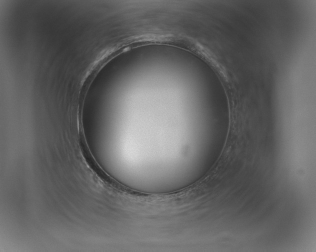 X0000051910011200507011545