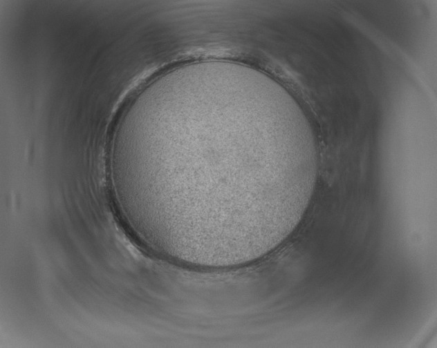 X0000051910012200507011545