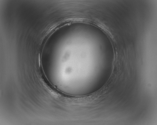 X0000051910013200507011545