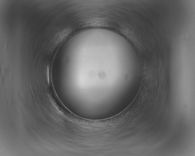 X0000051910014200507011545