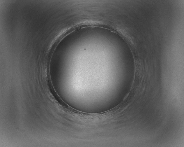 X0000051910015200507011545