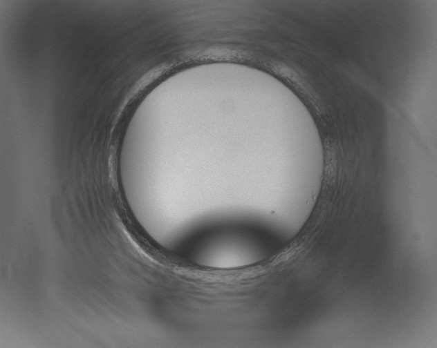 X0000051910016200507011545