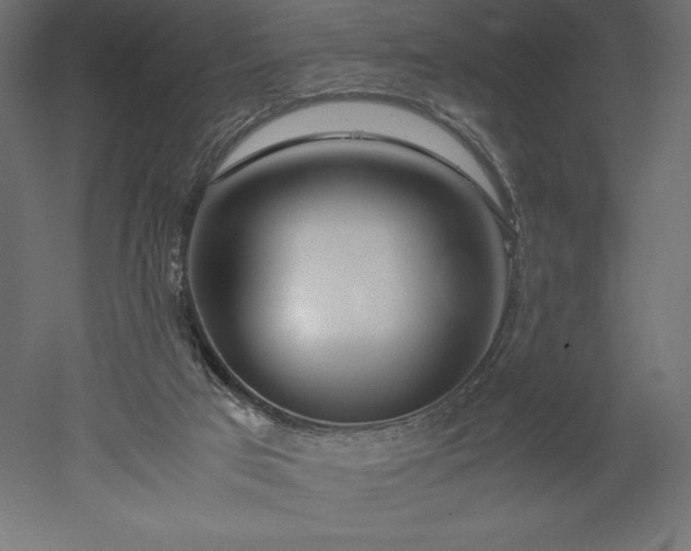 X0000051910017200507011545