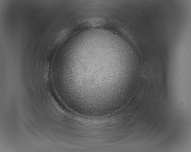 X0000051910018200507011545