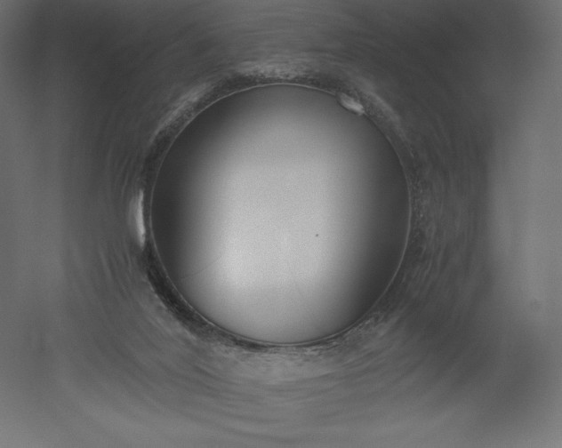 X0000051910020200507011545