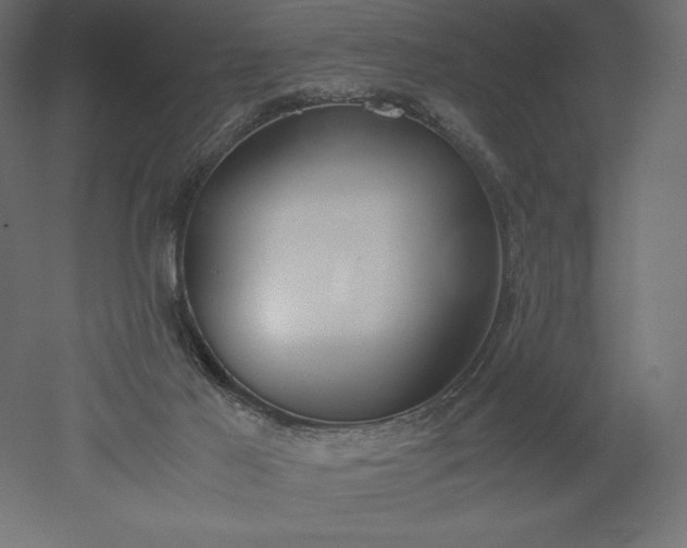 X0000051910021200507011545