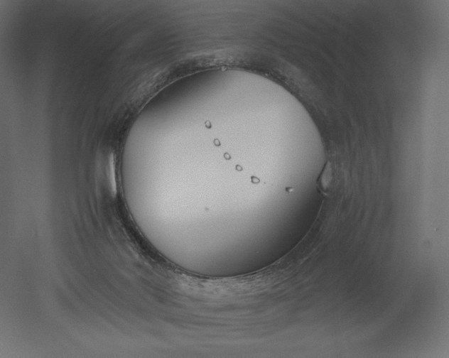 X0000051910022200507011545