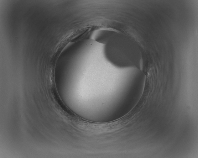 X0000051910023200507011545