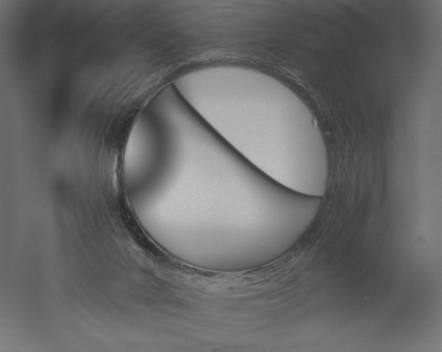 X0000051910024200507011545