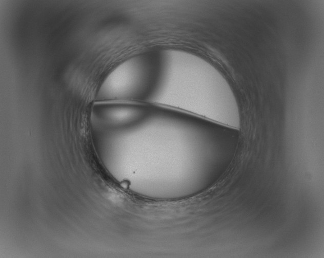 X0000051910025200507011545