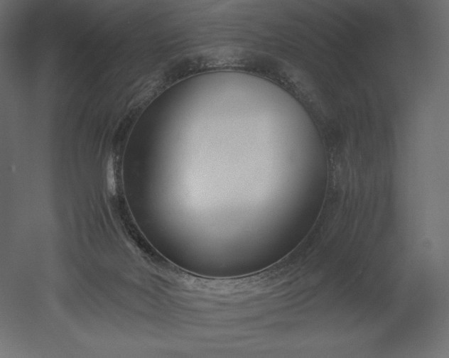 X0000051910026200507011545