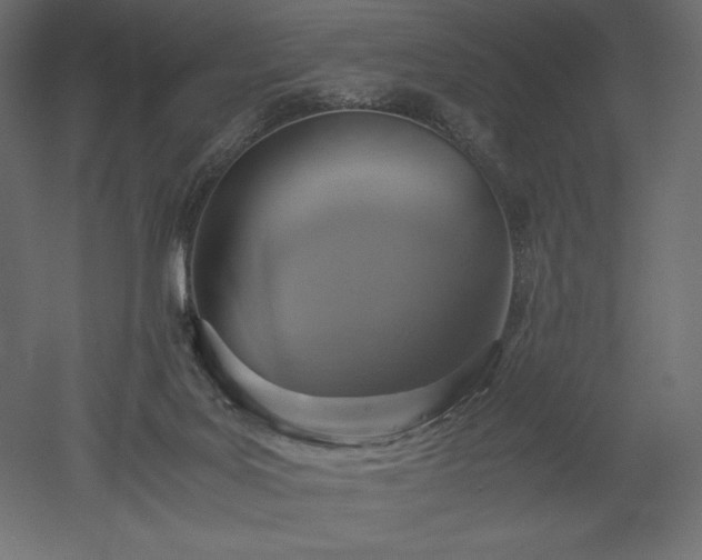 X0000051910027200507011545