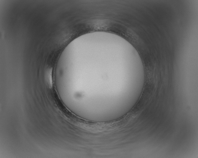 X0000051910028200507011545