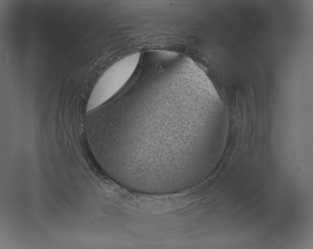 X0000051910029200507011545