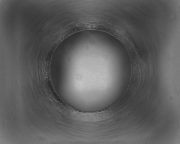 X0000051910030200507011545