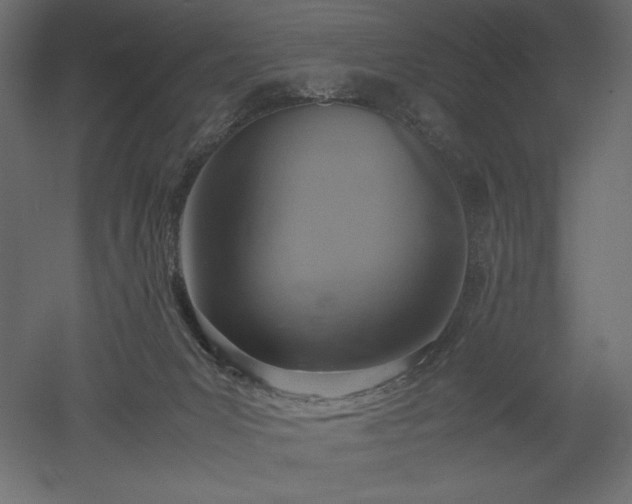 X0000051910031200507011545