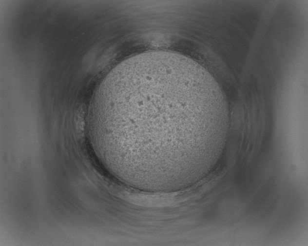 X0000051910032200507011545