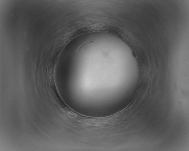 X0000051910033200507011545