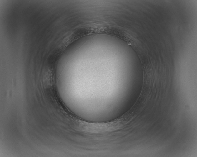 X0000051910034200507011545