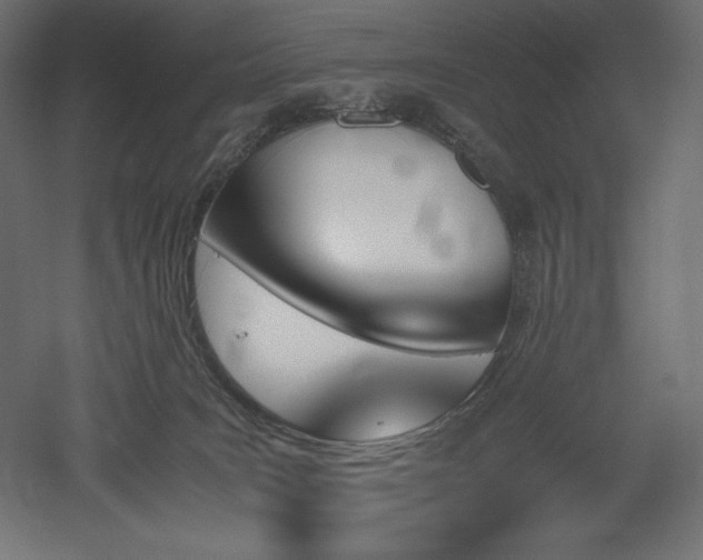 X0000051910035200507011545