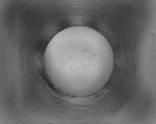 X0000051910036200507011545