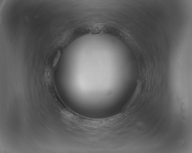 X0000051910037200507011545