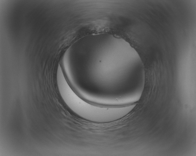 X0000051910039200507011545