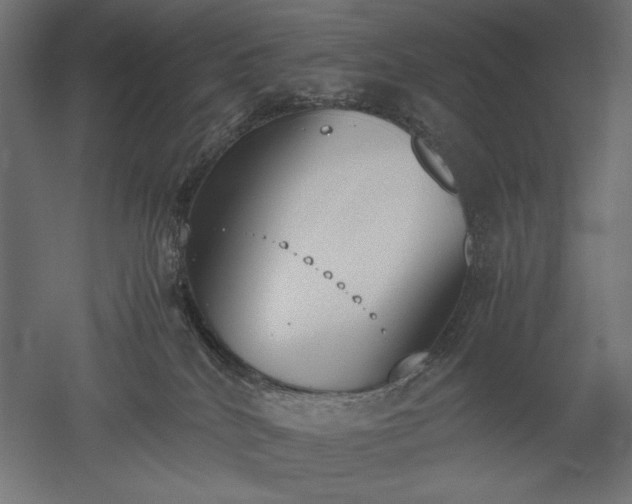 X0000051910040200507011545