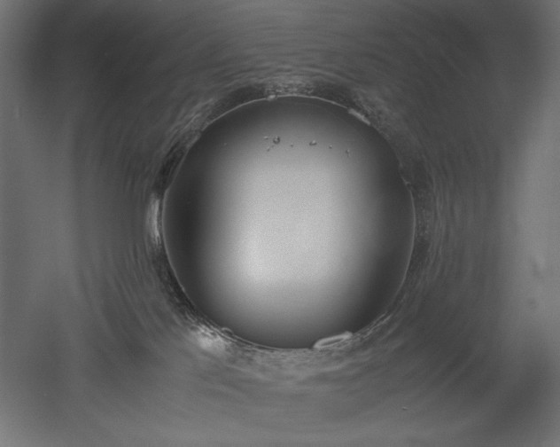 X0000051910041200507011545