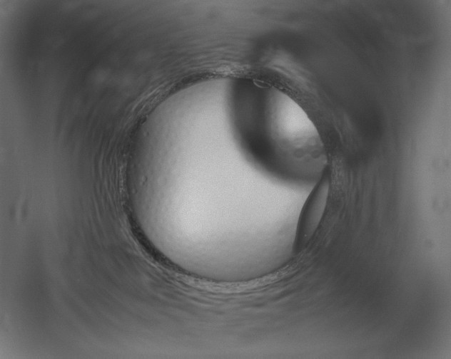 X0000051910043200507011545