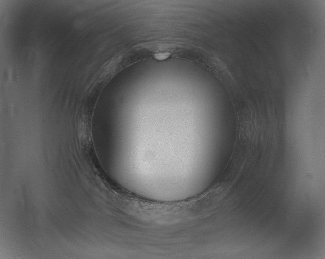 X0000051910044200507011545