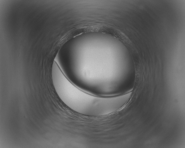 X0000051910045200507011545