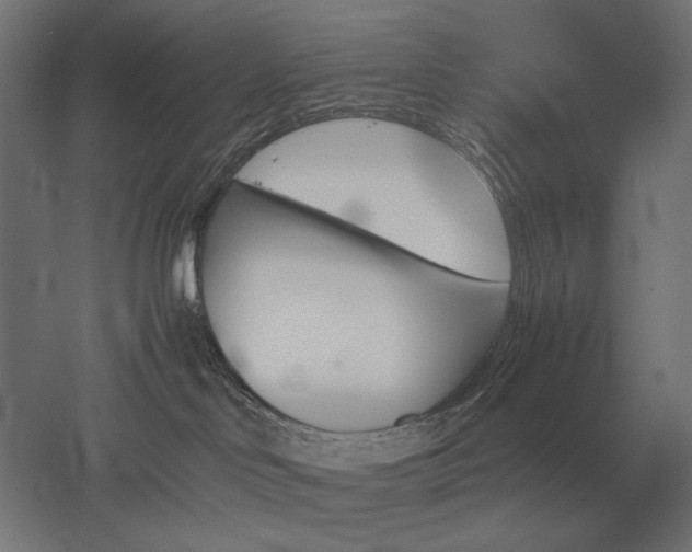 X0000051910046200507011545