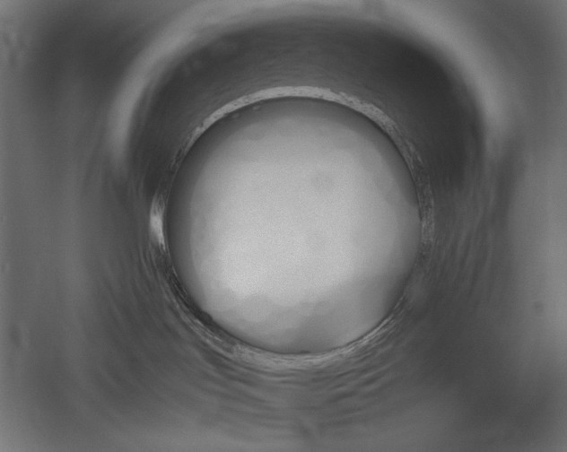 X0000051910047200507011545