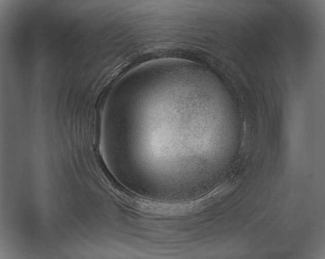 X0000051910048200507011545