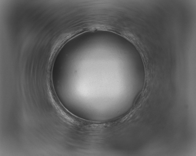 X0000051910049200507011544