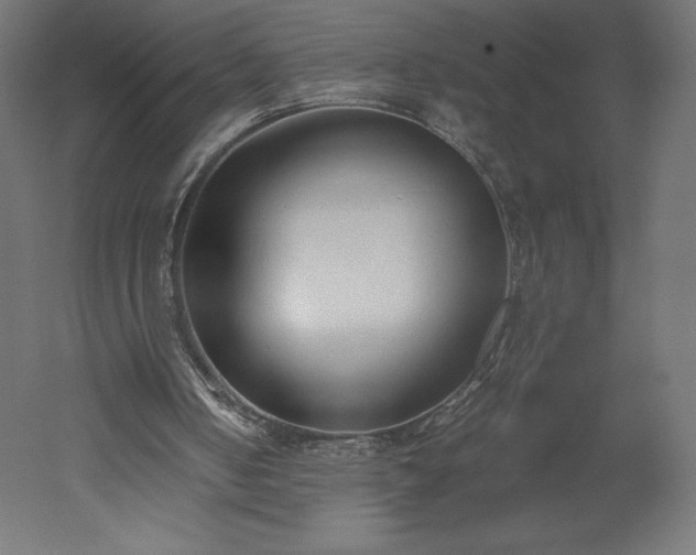 X0000051910050200507011544