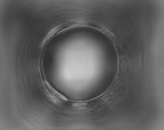 X0000051910051200507011544