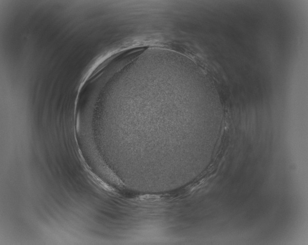 X0000051910052200507011544