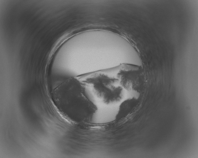 X0000051910053200507011544