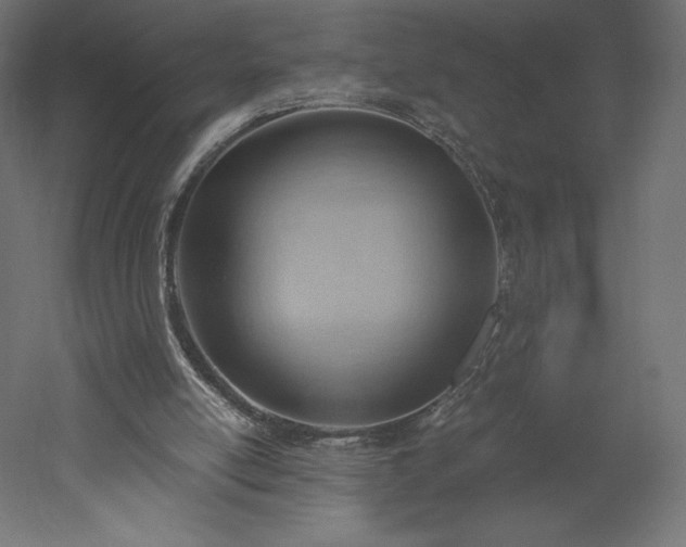 X0000051910054200507011544