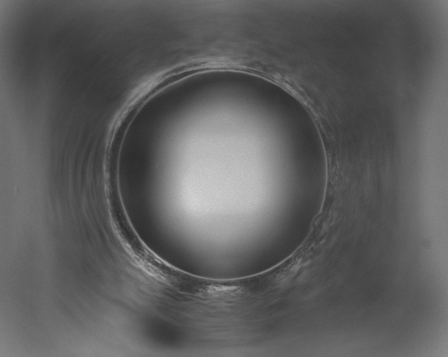 X0000051910055200507011544