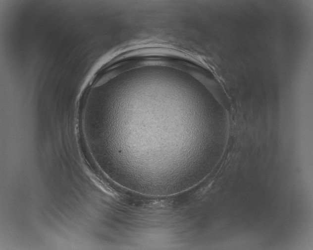 X0000051910056200507011544